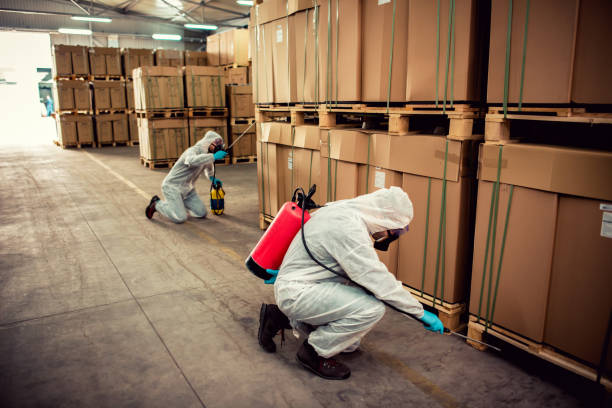 Best Pest Prevention Services  in Las Flores, CA