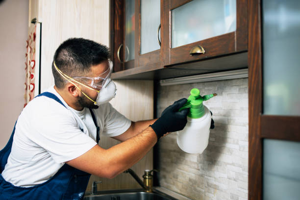 Best Exterminator Services  in Las Flores, CA