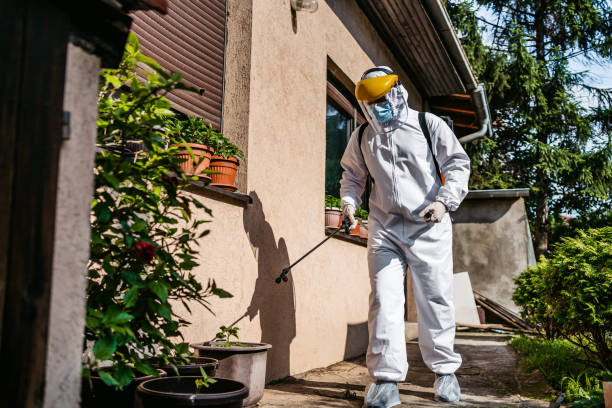 Pest Prevention Services in Las Flores, CA