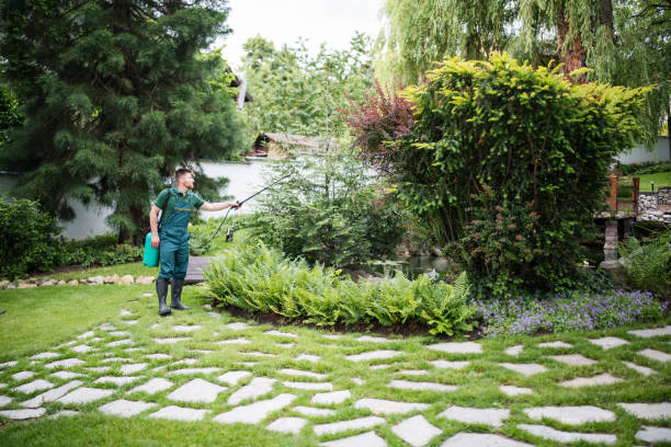 Best Pest Removal Services  in Las Flores, CA