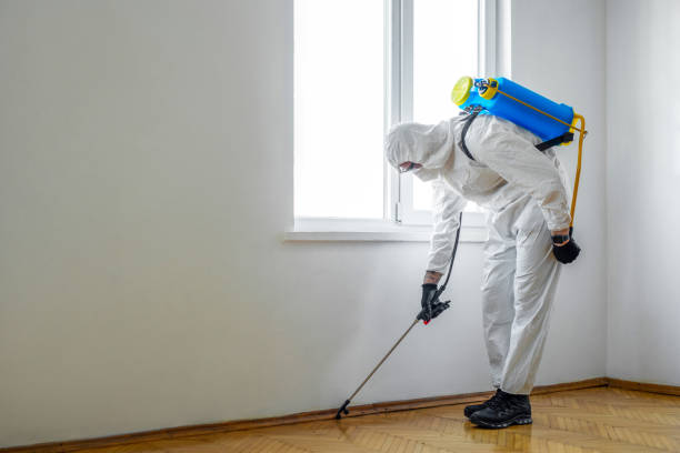 Best Commercial Pest Control Services  in Las Flores, CA