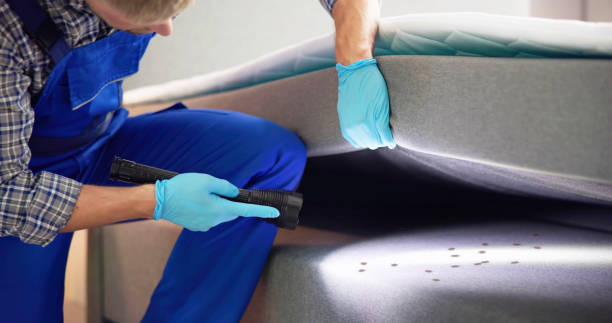 Best Commercial Pest Control Services  in Las Flores, CA