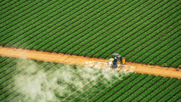 Best Pest Control Treatment  in Las Flores, CA