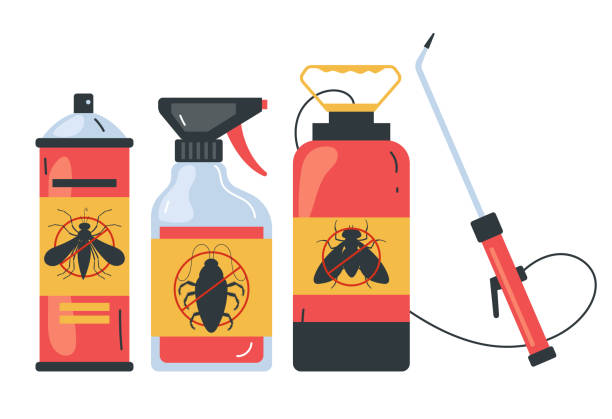 Best Affordable Pest Control Services  in Las Flores, CA